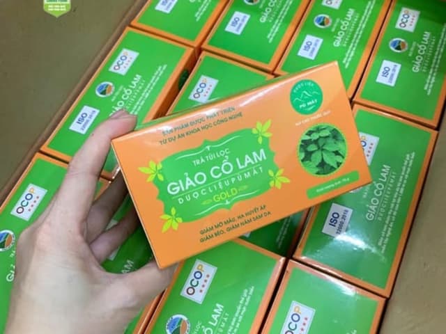 Trà Túi Lọc Giảo Cổ Lam - HẠ MỠ MÁU