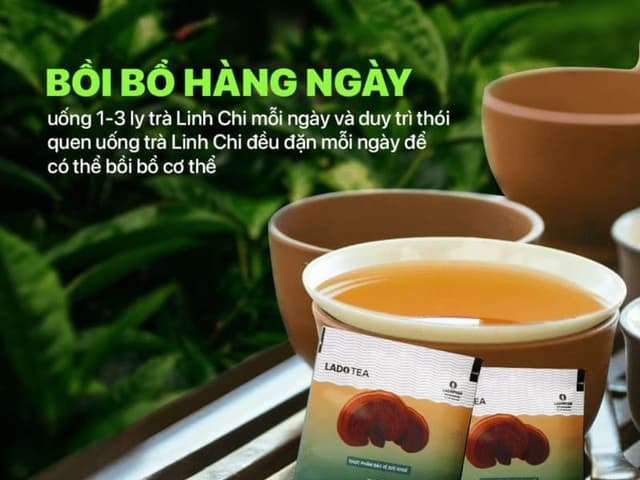 LADO TEA TRA LINH CHI