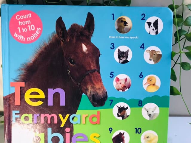 .Sách âm thanh tiếng kêu 10 bạn động vật: Ten Farmyard Babies