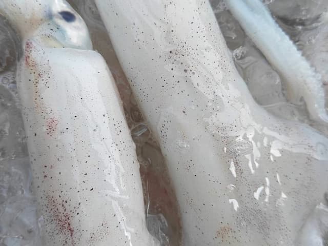 Mực