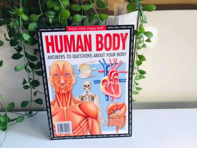 Human Body: Answers to Questions About Your Body.