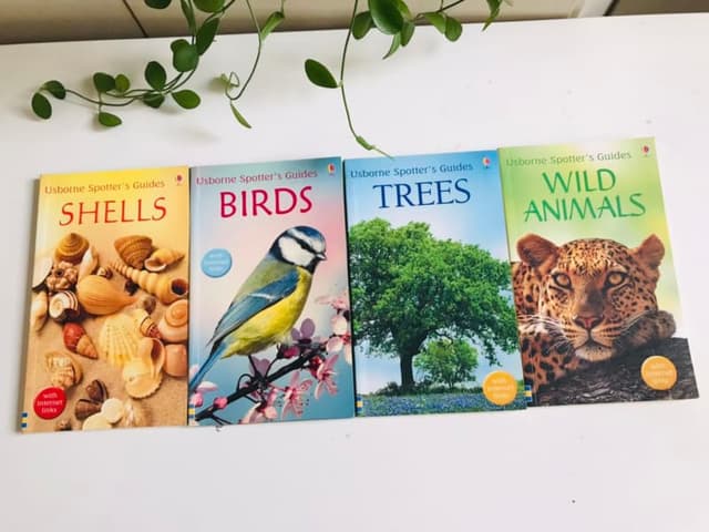 Set 4c Usborne Spotter's Guides