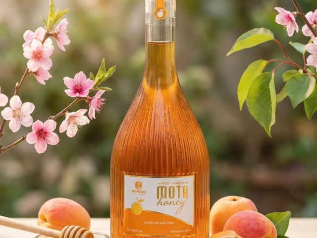 Rượu Mota Honey (Rượu mơ mật ong)