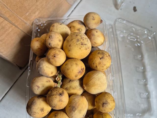 BÒN BON THÁI