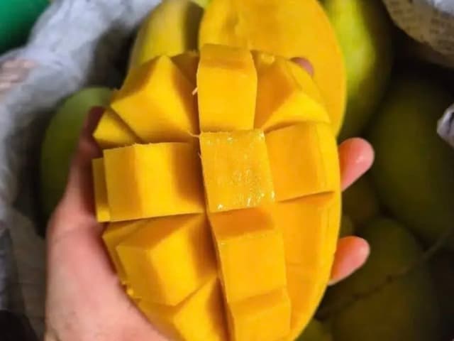 XOÀI CÁT HÒA LỘC