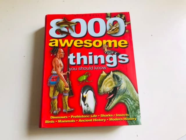 8000 Awesome Things You Should Know – Miles Kelly