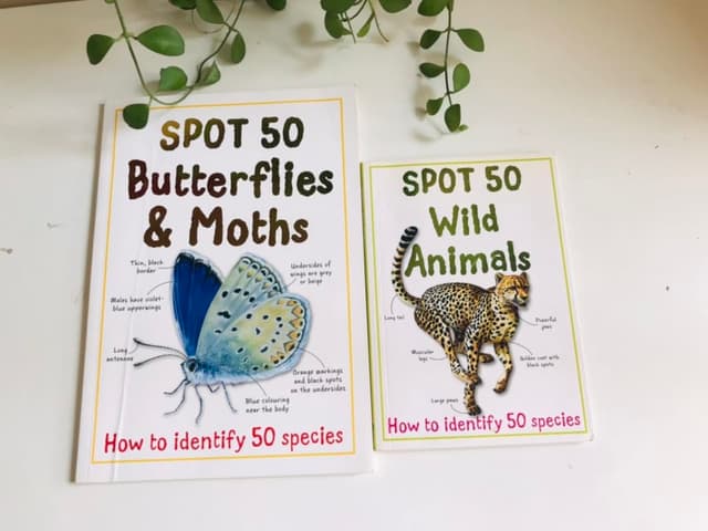 Spot 50 Wild Animals & Spot 50 Butterflies and Moths – Miles Kelly