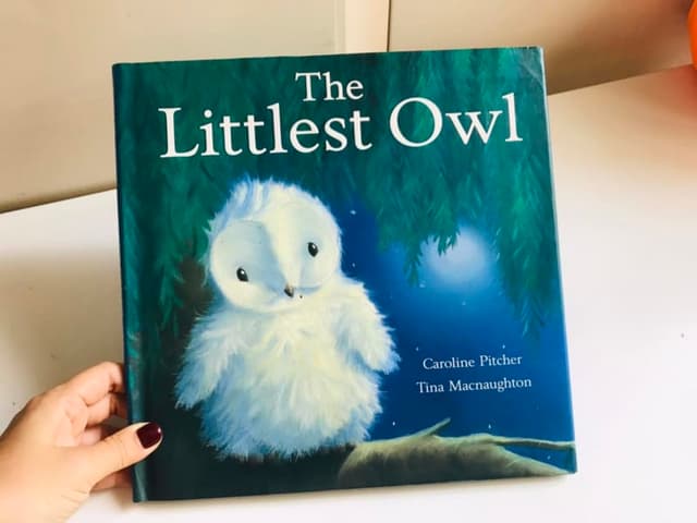 The Littlest Owl