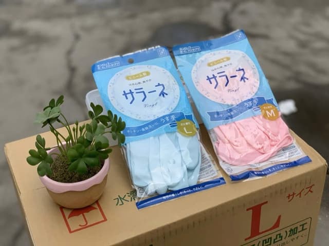 Găng tay rửa bát Seiwa size hồng (M)/ xanh (L)