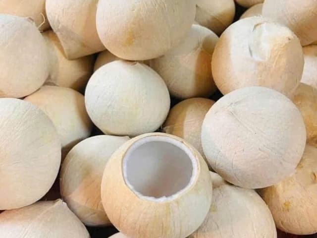 DỪA XIÊM XANH GỌT TRỌC