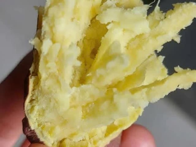 KHOAI LANG LỆ CẦN