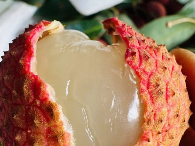 VẢI NẾP ĐĂK LĂK