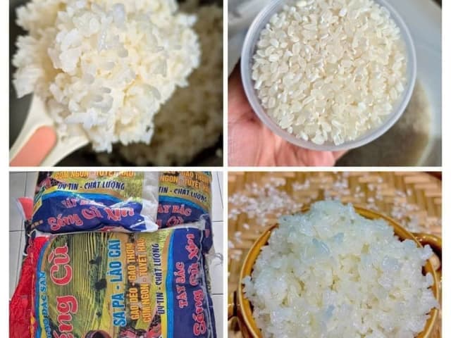 GẠO SÉNG CÙ