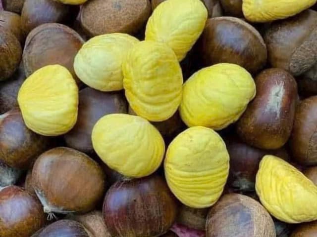 Hạt dẻ