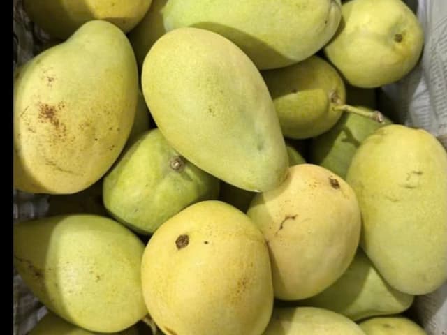 XOÀI TỨ QUÝ