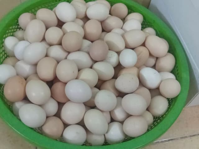 Trứng gà ta chuẩn xịn