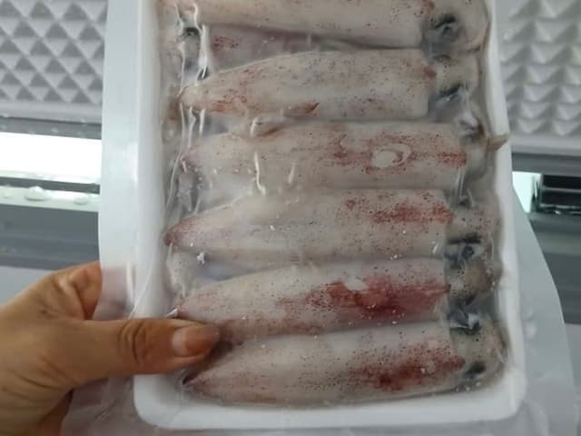 Mực Ống size 24-30c