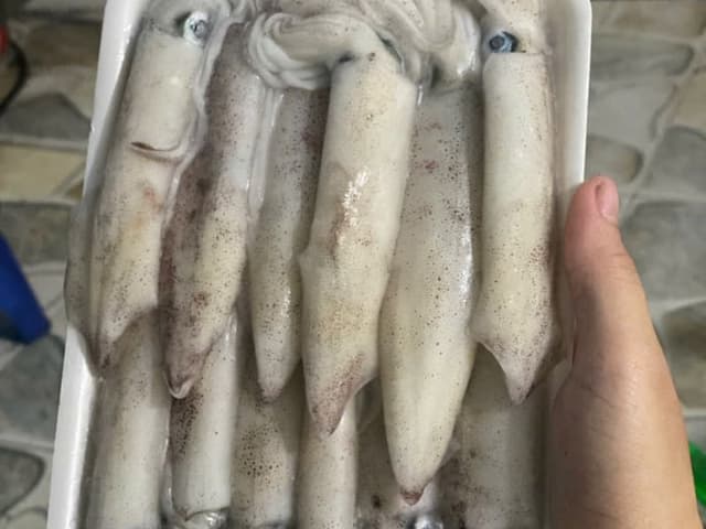 Mực Trứng Phú Quốc size 20-24 von