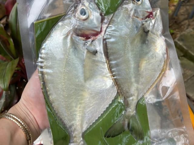 Cá Liệt size lớn