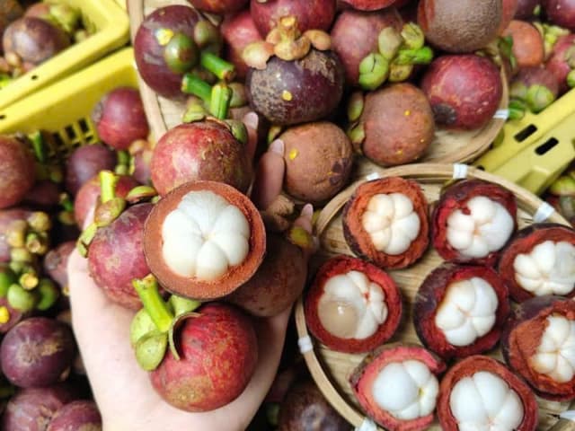Măng cụt bi Lái Thiêu