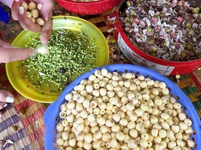 Hạt sen tươi Bình Thuận